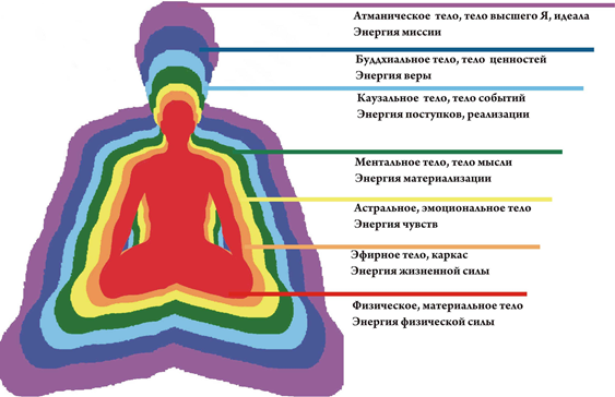 Cхема тонких тел